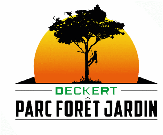 logo - Deckert parc Foret Jardin - elegage - aménagement paysager - taille